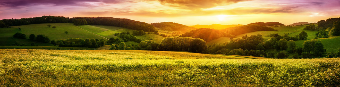 Finding The Homeplace